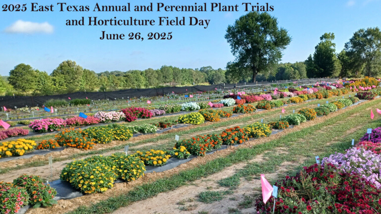Texas Annual and Perennial Plant Trials