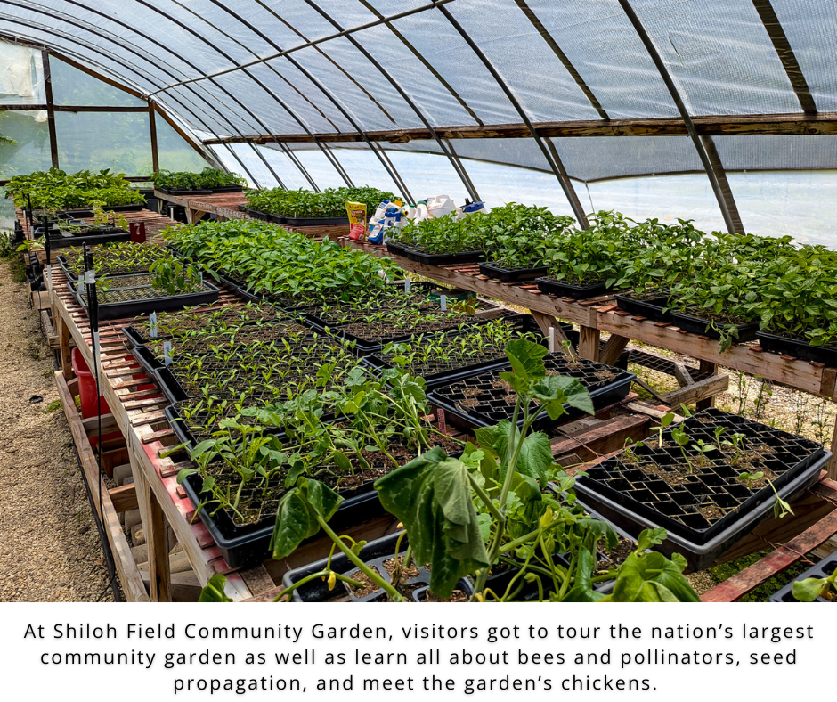 A photo of typical food waste in a wheel barrow.