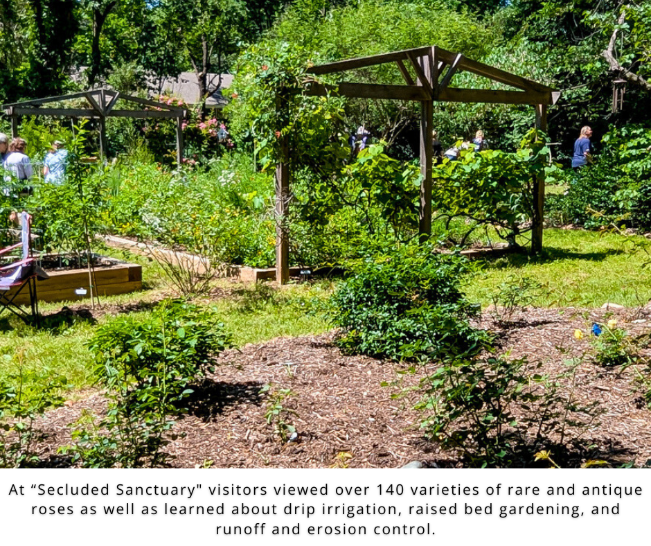 Photo of suburban home front garden beds.
