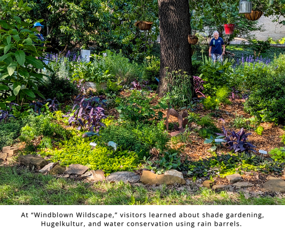 Photo of a dry creek bed for erosion control in a suburban landscape.