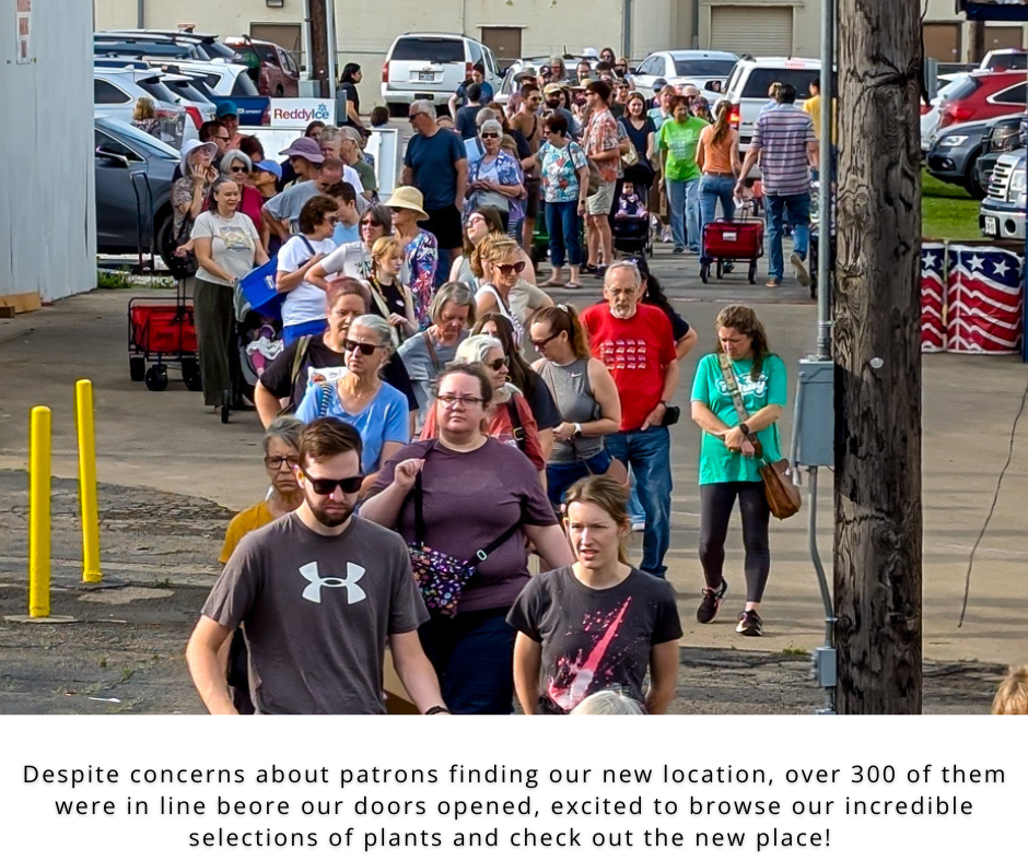 Photo of members preparing plant information cards.