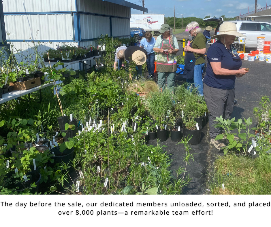 Photo of members preparing the plants for sale.