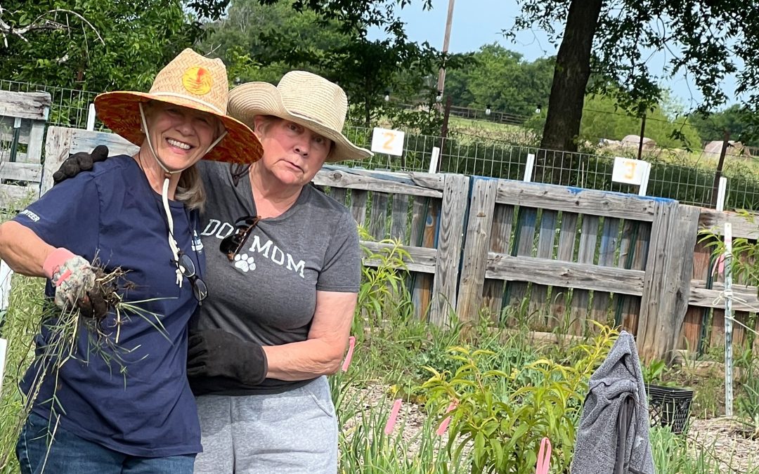 Community Strong Farm Volunteer Monday!