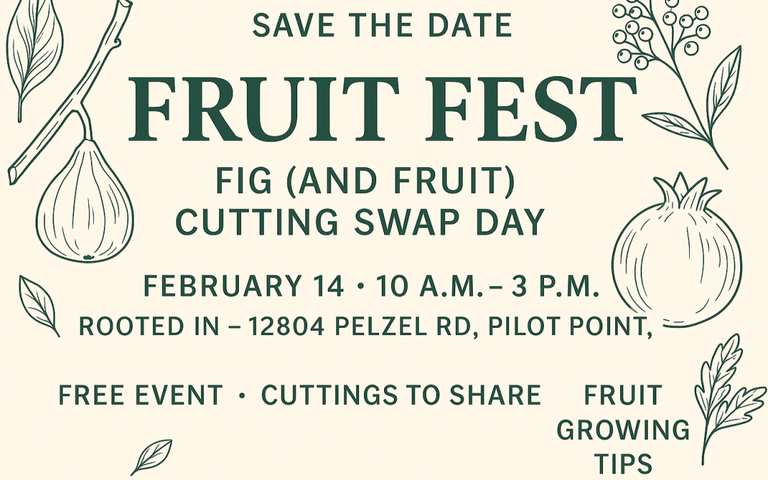 Ask a Master Gardener Booth – Edible Gardening at Rooted In Nursery’s “Fruit Fest”