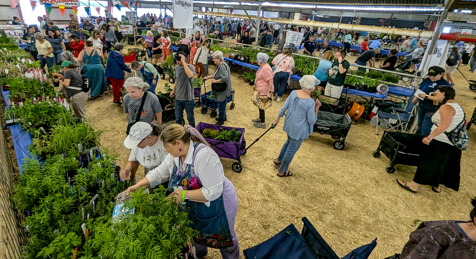 Photograph of customers shopping for Texas Native plants.