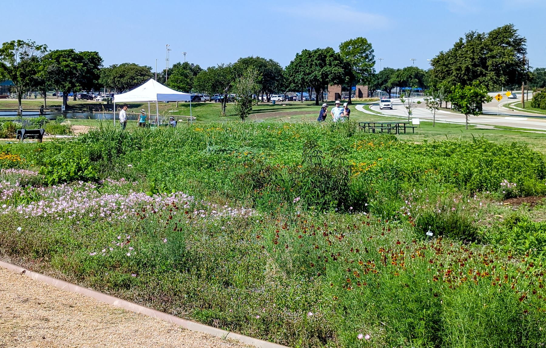 Master Gardener Help Desk Graphic with caption.