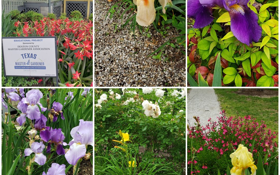 Historical Park Gardens Workday and NEW EDUCATION Opportunity