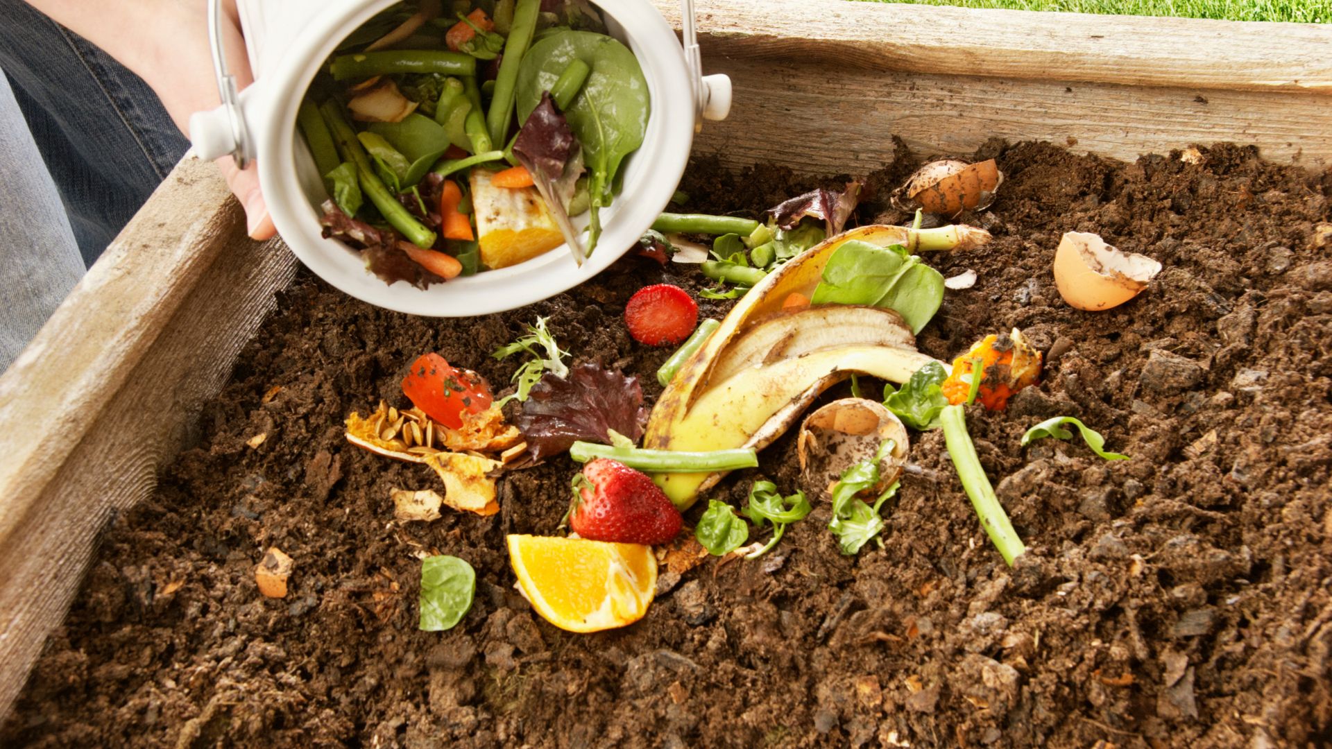 Photo of adding food waste to a compost bin.
