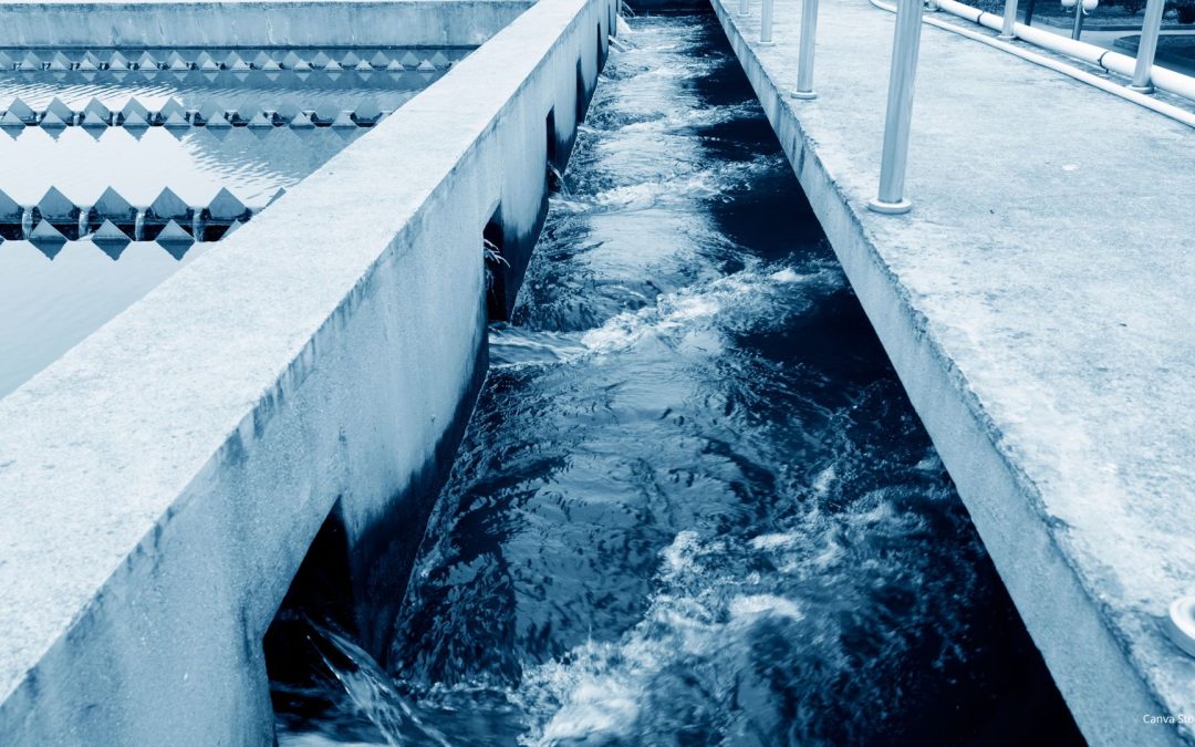 The Journey of Your Water & Why Conservation Matters!