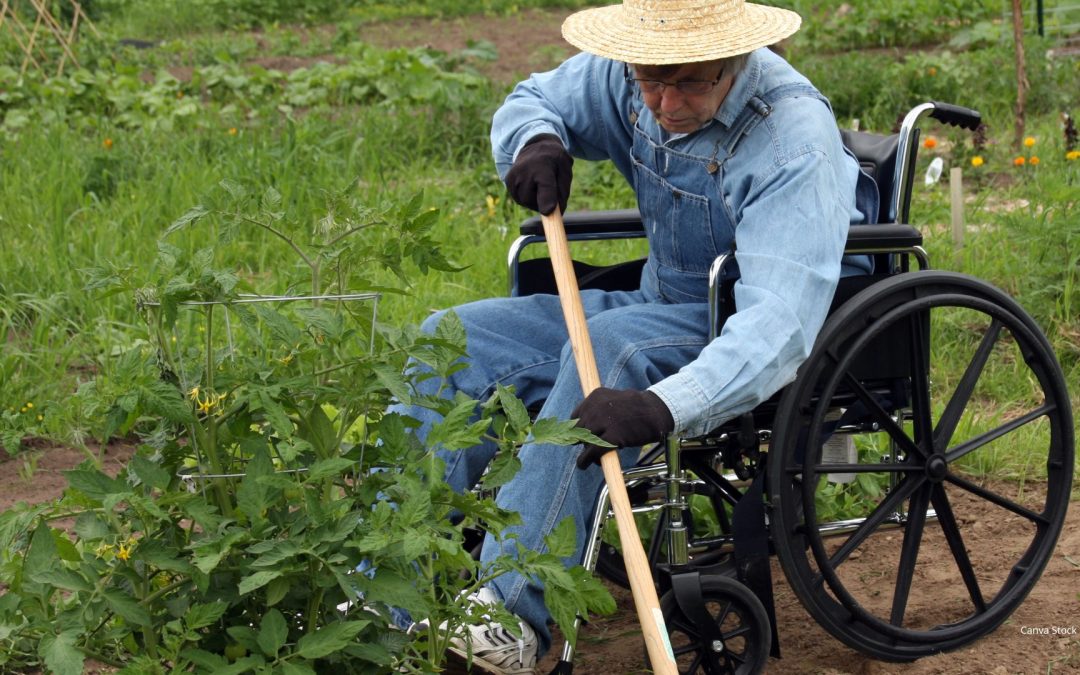 CEA HORT Exclusively Authorized One Time Project