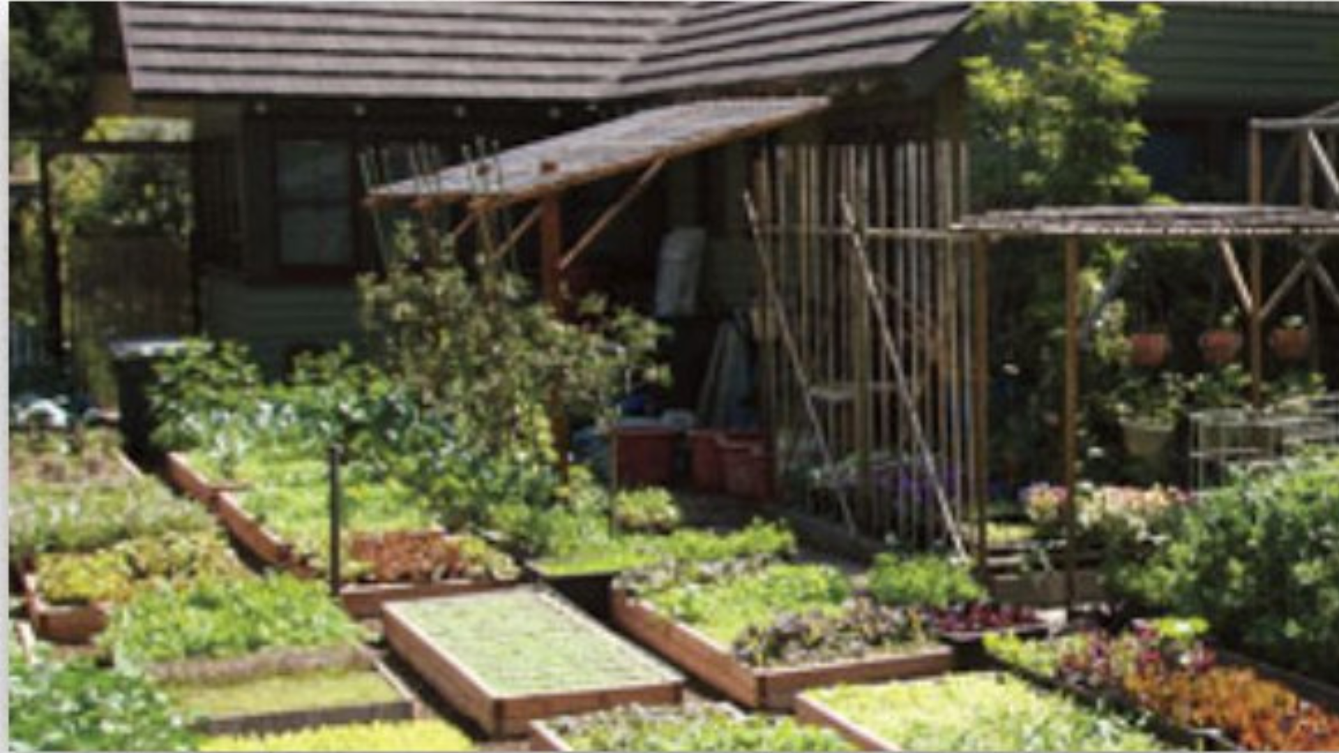 A collection of several vegetable garden beds.