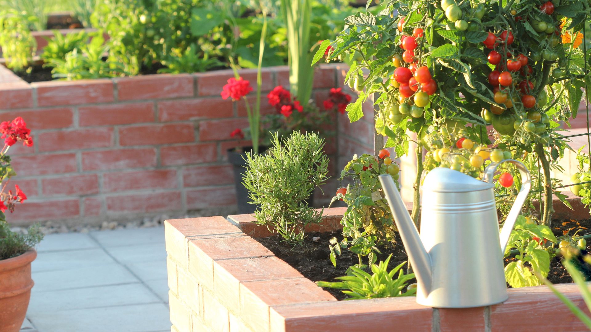 Photo of a raised bed garden with a watering can.