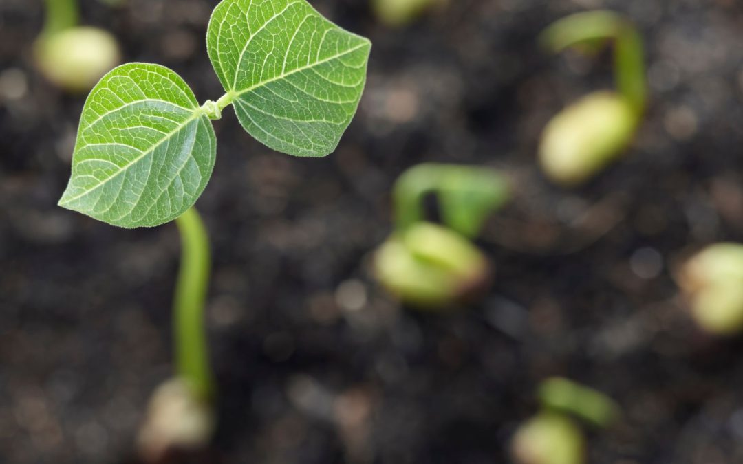 Propagation:  Multiplying by Division