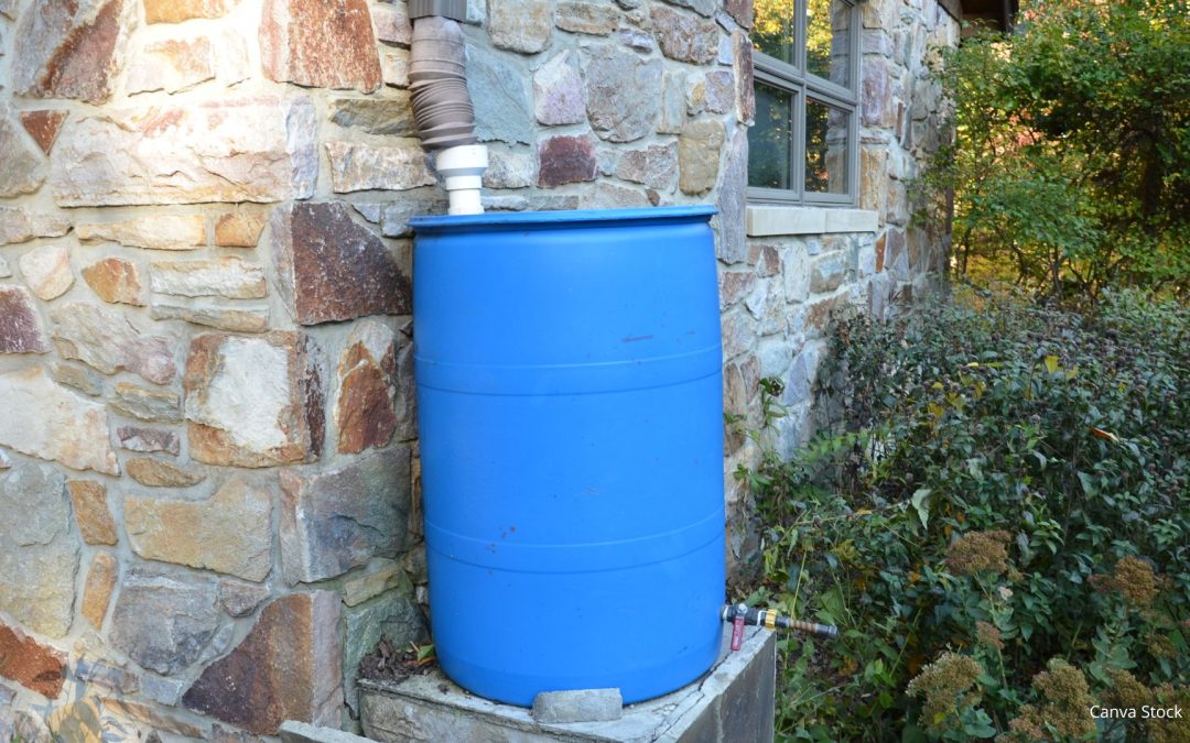 Catch It While You Can: Rain Harvesting