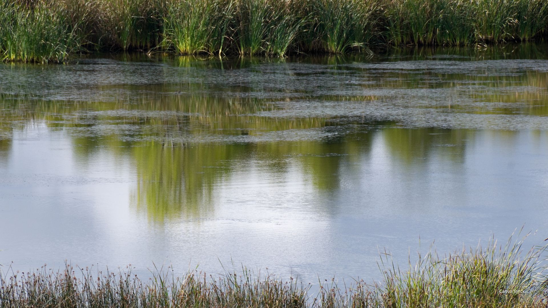Photo of a watershed with reflection.