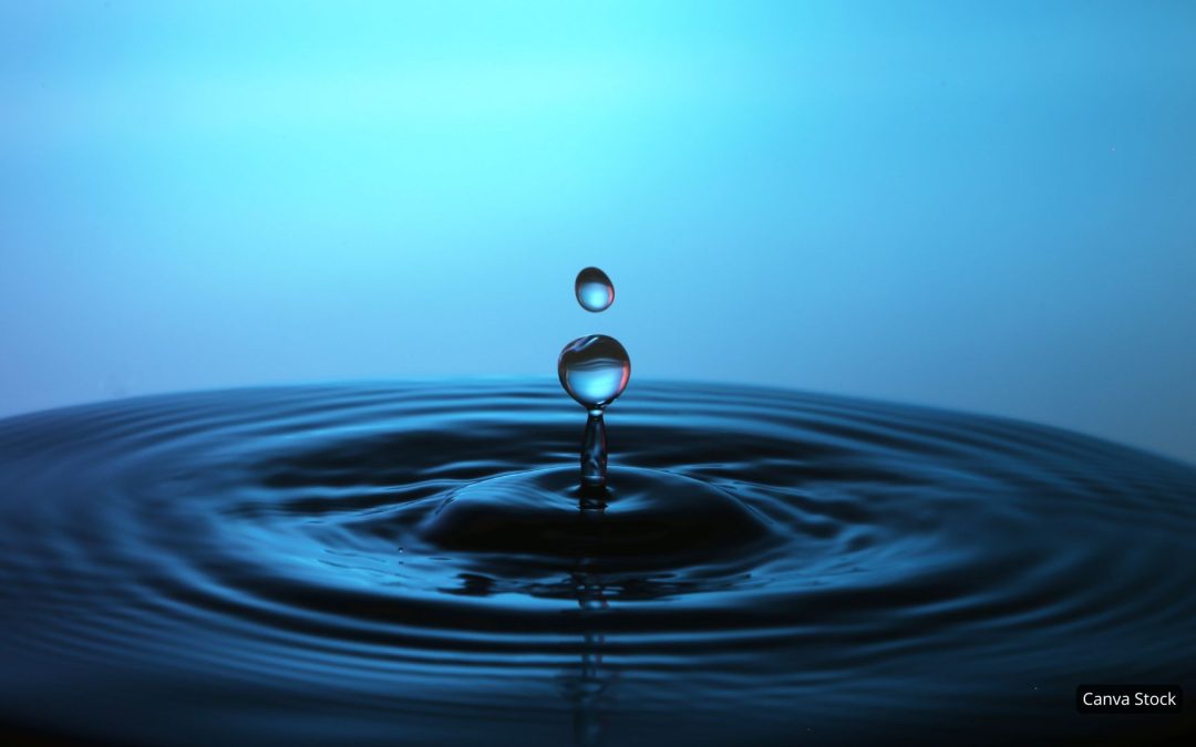 Waterwise Gardens – Promised Garden Series