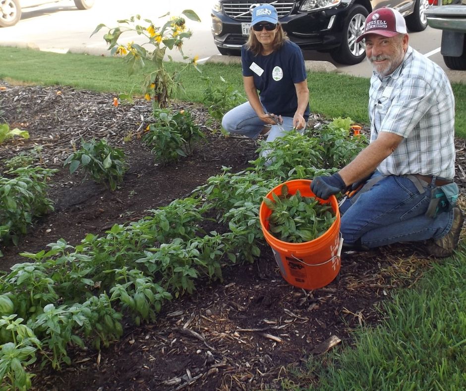 Photo of volunteers working at FMFB Community Garden