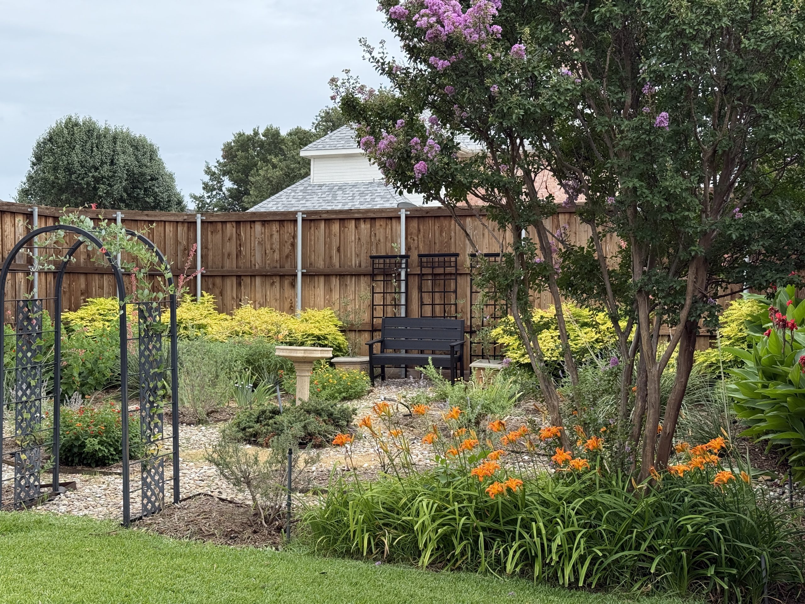 Photo of Century Oak Garden backyard pool area.