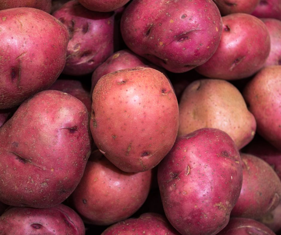 Close up photo of red potatoes.