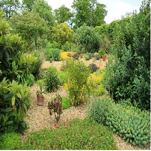 Photo of luscious green plants in a garden with a pebble sidewalk in the background.