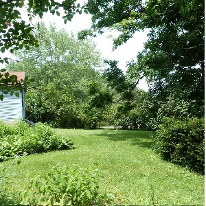 Photo of lawn surrounded with bushes