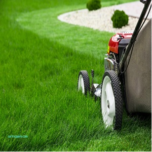Photo of green grass with a lawn mower