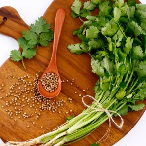 Photo of cilantro and seeds