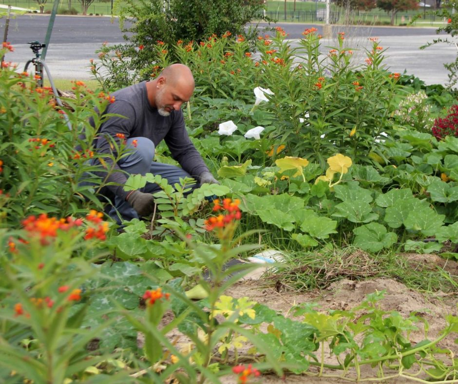 Photo of a Master Gardener working in a garden at Beulah Acres Agroforest.