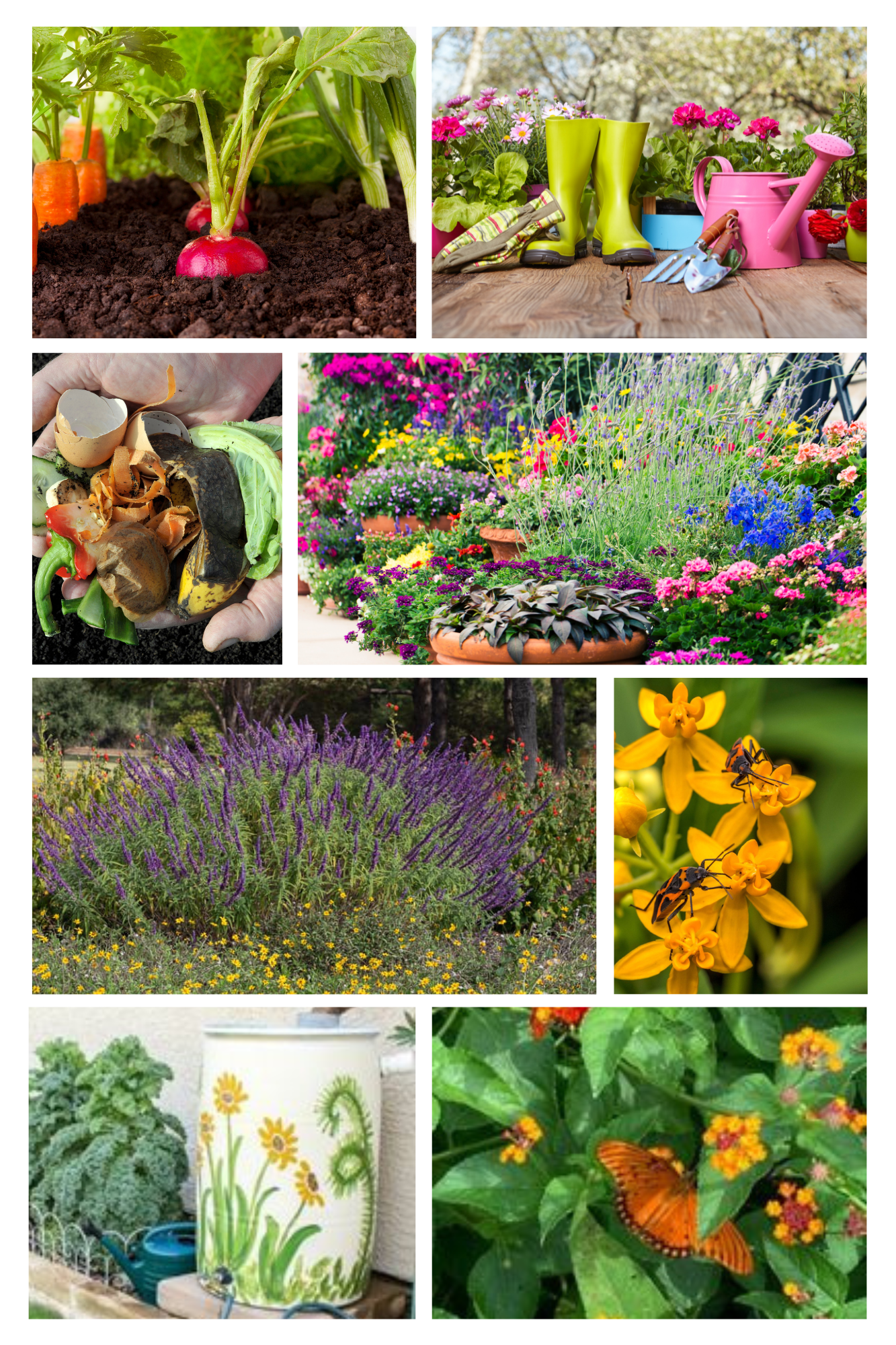 Photo collage of plants, tools, and gardening supplies.