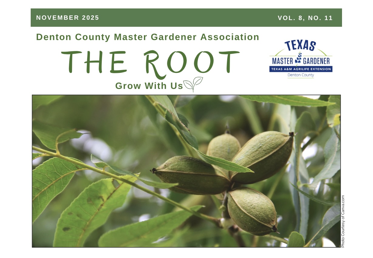 Monarch butterfly on Gregg’s Mistflower. Cover photo courtesy of Canva.