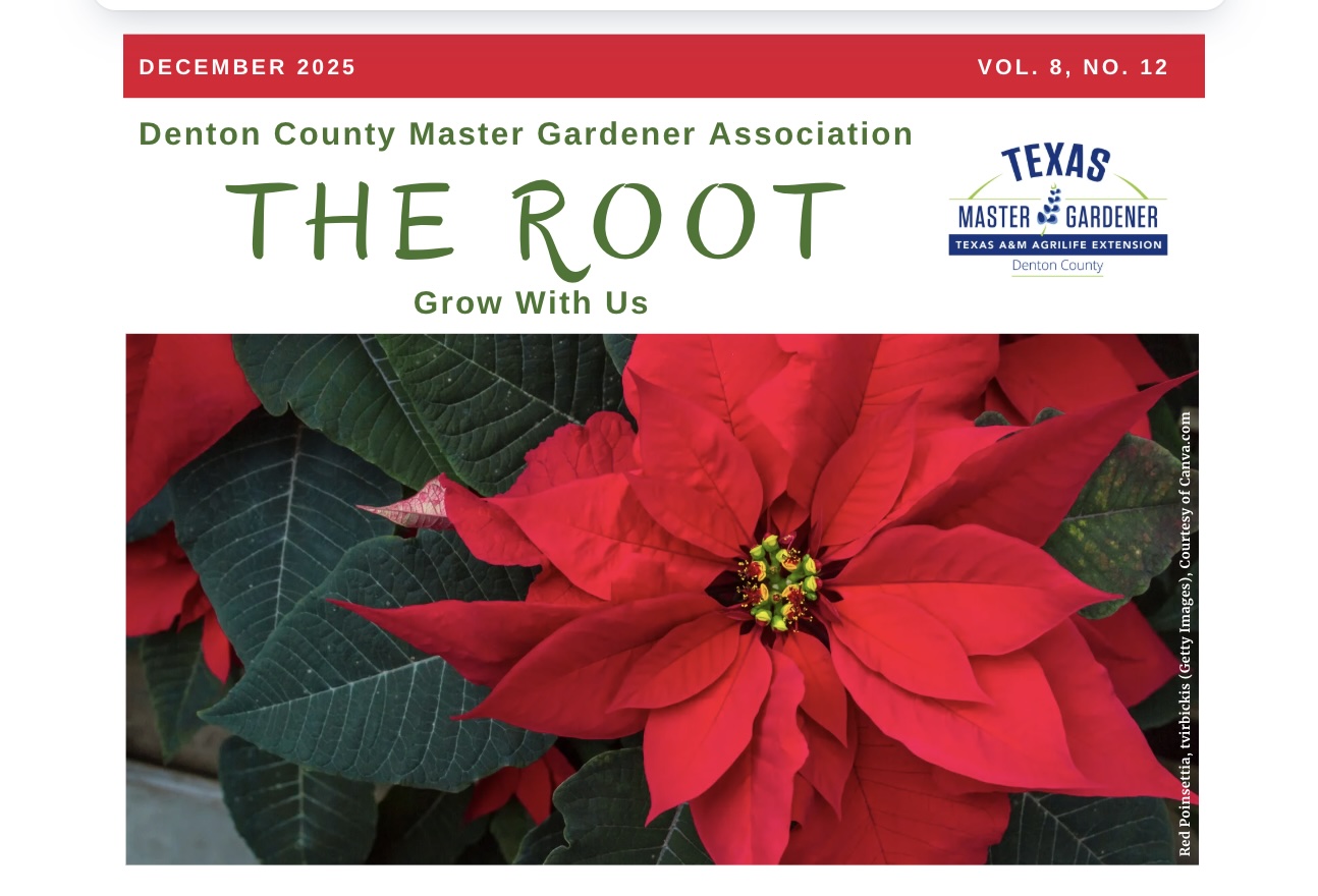 Frozen cabbage in the garden covered with frost by Ulrike Leone, Getty Images, Courtesy of Canva.com