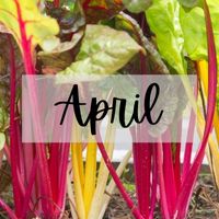 Monthly Tips April