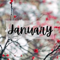 Monthly Tips January