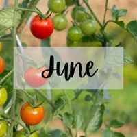 Monthly Tips June