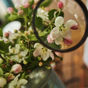 Photo of a flowering plant being viewed through a magnifying glass.