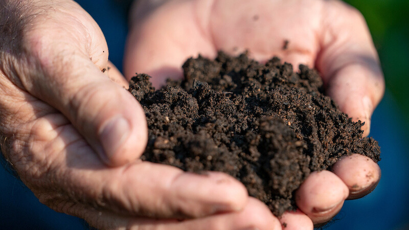 Image of hands holding soil.