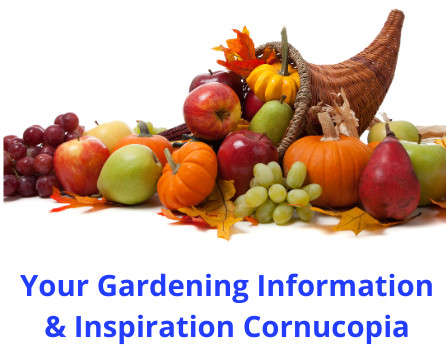 Cornucopia with produce poring out.