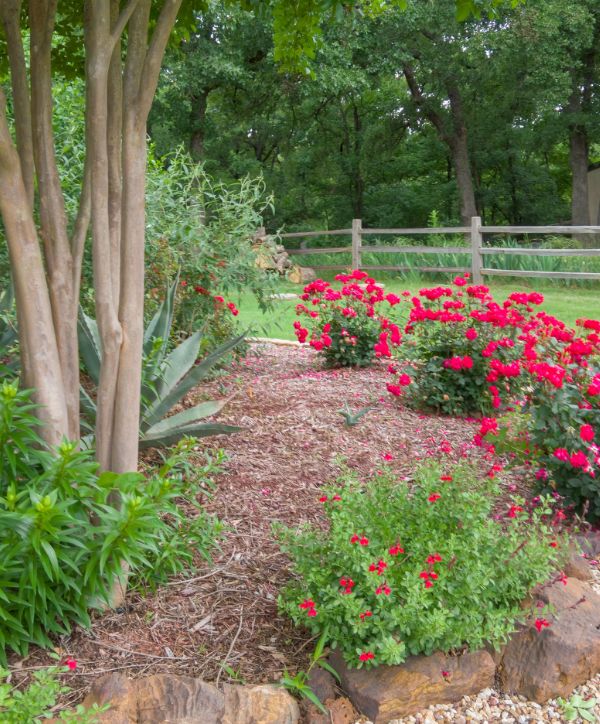 Landscape bed with flowers - 600x724 px Photo of landscape bed with flowers.