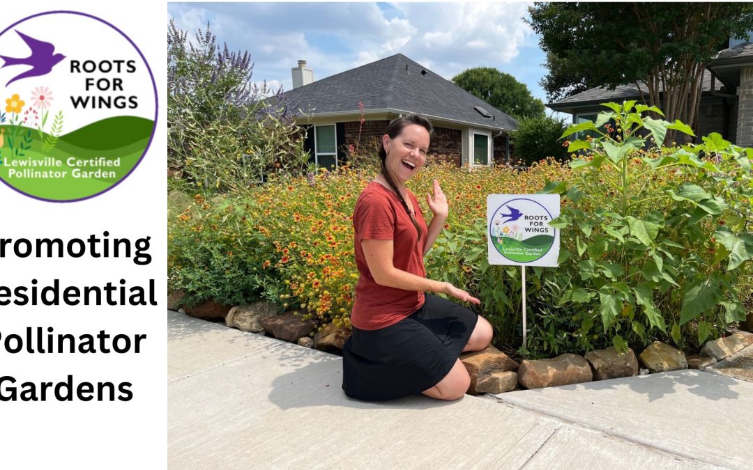 Roots for Wings – Promoting Home Pollinator Gardens