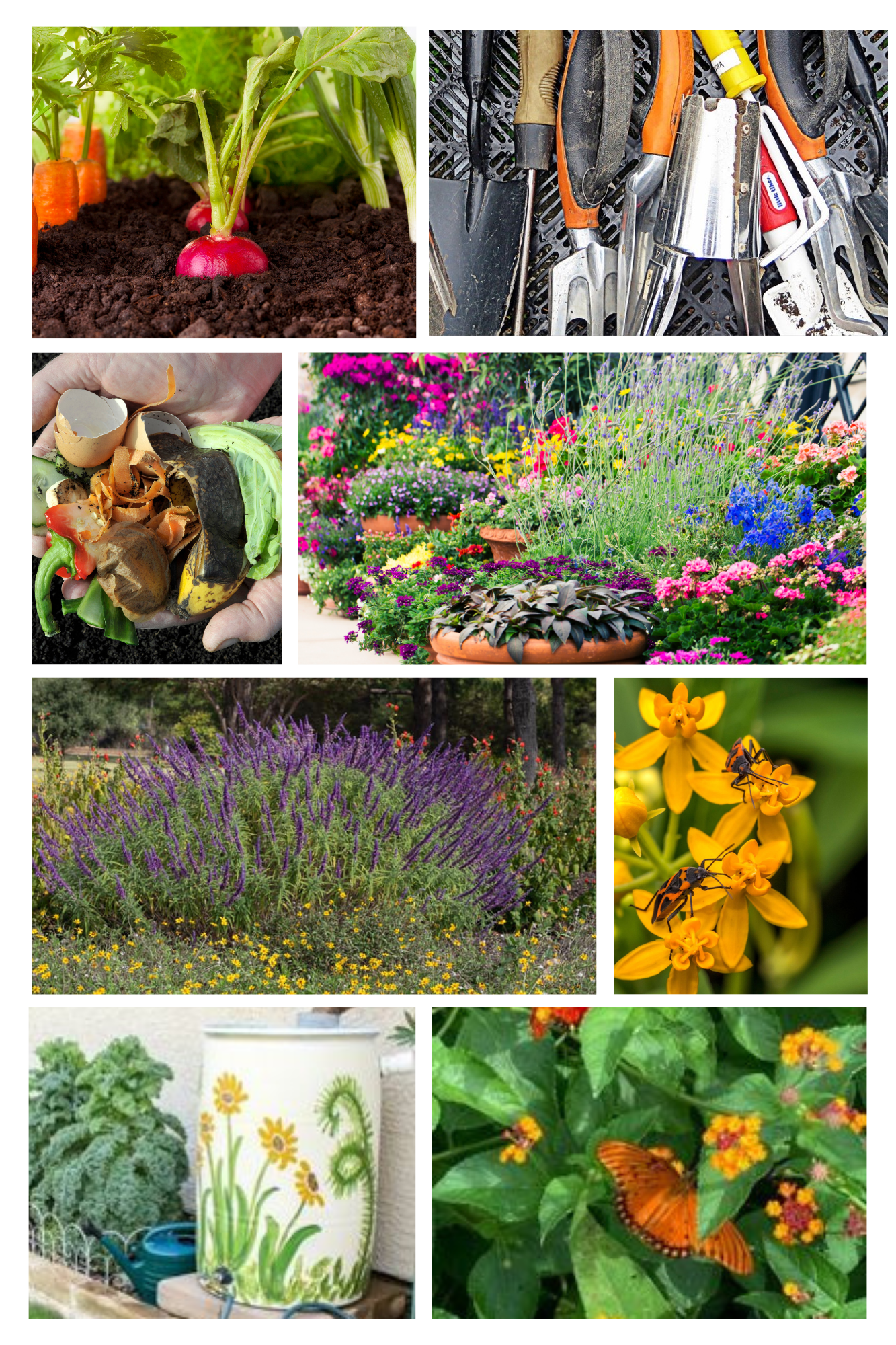 Photo collage of plants, tools, and gardening supplies.